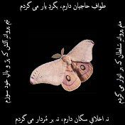 Profile Picture of Tariq Akbar (@KhamoshTamashai) on Youtube