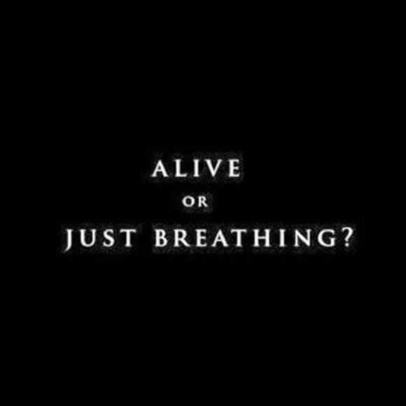 Profile Picture of Shafiq Khatibi (@khatibi) on Poshmark