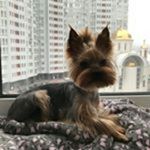 Profile Picture of julia_muzafarova_ (@julia_muzafarova_) on Instagram