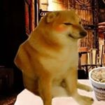 Profile Picture of Dylan Mashburn (@what_if_i_dont_want_a_username) on Instagram