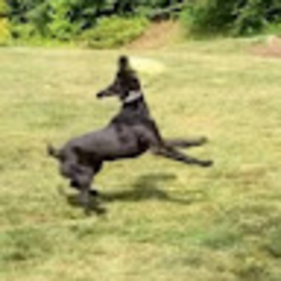 Profile Picture of Brendan Wiebke (@brendanwiebke24) on Poshmark