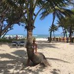 Boisvert Lise - Instagram Profile Picture of Boisvert Lise (@soslapuce12) on Instagram