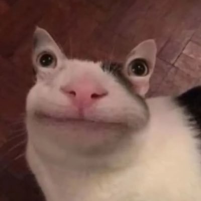 Profile Picture of Colin Hester (@ColinHester) on Twitter