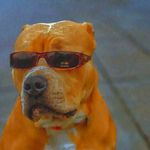 Profile Picture of Hayden Sutton (@notyouraverageyoutuber) on Instagram