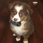 Profile Picture of Joan Keller (@joankeller68) on Instagram