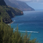 Profile Picture of Kevin Yamamoto (@daffyonedaffy) on Flickr