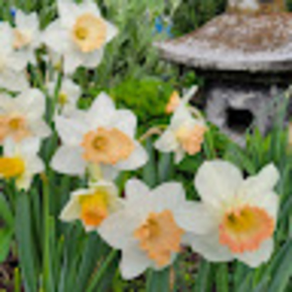 Profile Picture of Faith Alperin (@luvnjeff8) on Poshmark