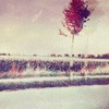 Profile Picture of Sally Willhelm (@@musicsunnygirl20) on Tiktok