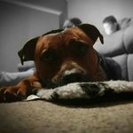 Profile Picture of cooper morrow (@cooper.morrow.1467) on Instagram