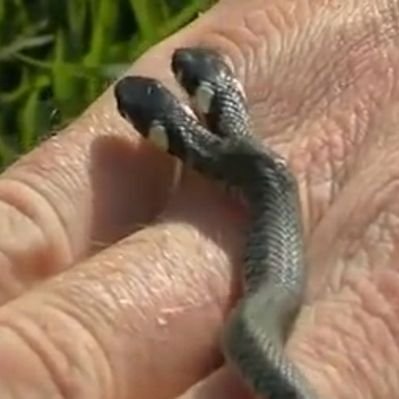 Lance Derek Doroteo - Twitter Profile Picture of Lance Derek Doroteo (@DerekDoroteo) on Twitter