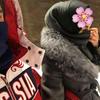 Profile Picture of Alice Pak (@@alicepak0) on Tiktok