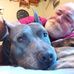 Profile Picture of Steve Spears (@steve.spears.3557) on Facebook