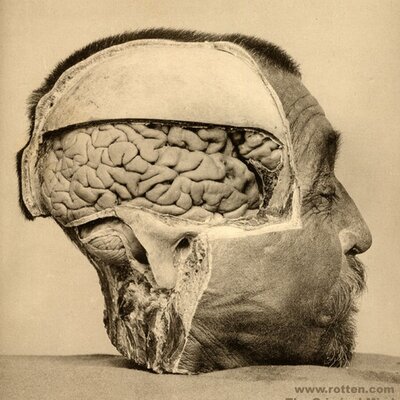 Profile Picture of John Haskell (@Hskll) on Twitter