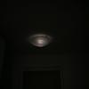 Profile Picture of Adam Behm (@reptile90) on Tiktok