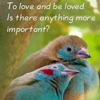 Profile Picture of Michael Trenholm (@MichaelTrenholm) on Twitter