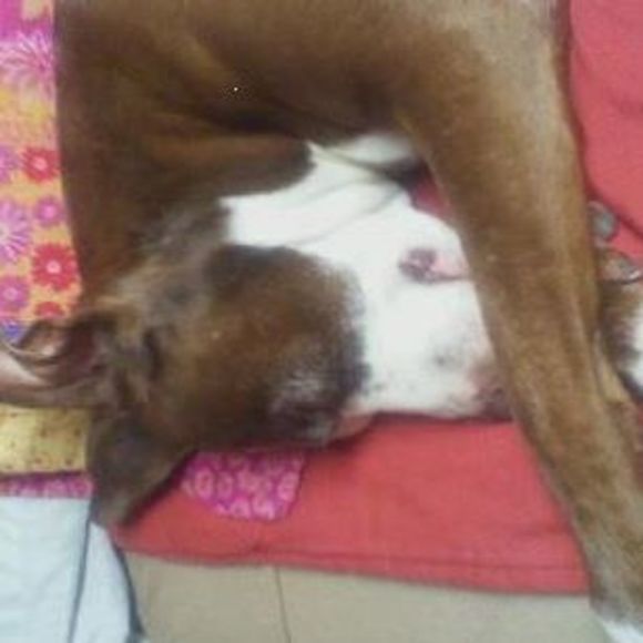 Amy Hibner - Poshmark Profile Picture of Amy Hibner (@waitress515) on Poshmark