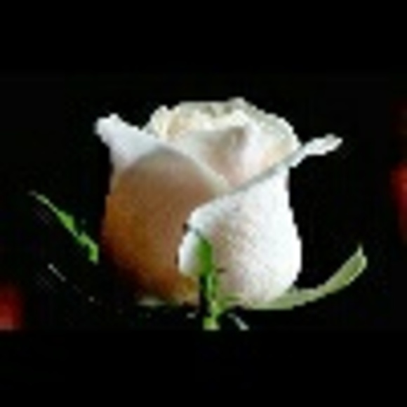 Profile Picture of Annita Mcgilvary (@annita30) on Poshmark