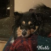 Profile Picture of Steven Burdett (@steven-burdett-1) on Quora