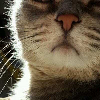 Profile Picture of . (@lisamanes9109) on Twitter