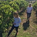 Profile Picture of Mark Bruhn (@mark.bruhn) on Instagram