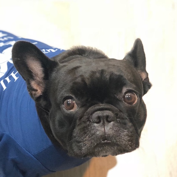 Thiago Silva - Poshmark Profile Picture of Thiago Silva (@thiagoedcar) on Poshmark