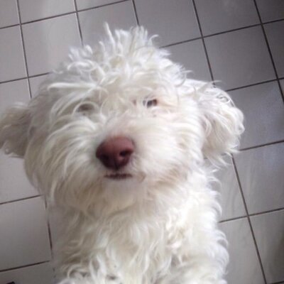 Profile Picture of Dennis Keyes (@DennisKeyes1) on Twitter