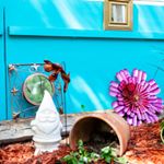 Profile Picture of Kevin the Peacocks House (@kevinthepeacocksplace) on Instagram