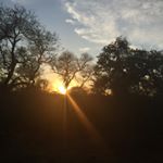 Profile Picture of Debbie Stuart (@debbiestu) on Instagram