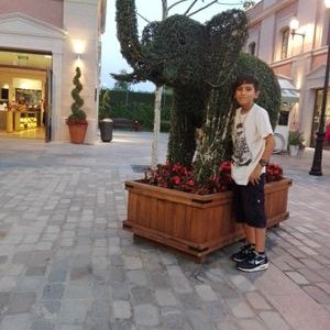 Profile Picture of Jonathan David Carde (@cerdenasjona) on Twitter