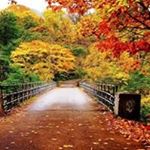 Profile Picture of Sonia Almodovar (@asoniai) on Instagram