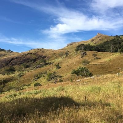 Profile Picture of Edwin Abraham (@EdwinAb77549620) on Twitter