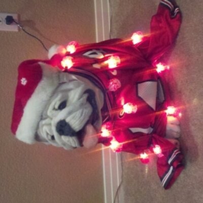 Profile Picture of Mike Beatty (@SlappyMLB) on Twitter