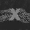 Profile Picture of Max Levin (@@max_levin_1) on Tiktok