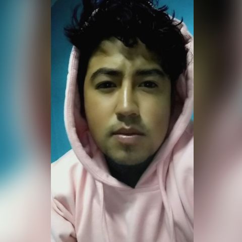 ArmandhoF - Tiktok Profile Picture of ArmandhoF (@armando010401) on Tiktok