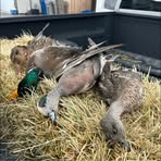 Profile Picture of Joseph Vickers (@joseph.vickers.65655) on Facebook