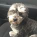 Profile Picture of Michael Baron (@michael.baron.1485537) on Facebook
