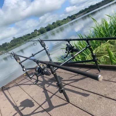 Profile Picture of CrazyCarperTom (@tom_carper) on Twitter
