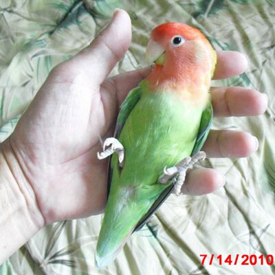 Profile Picture of Jonathan Patrick (@SuperBowlLII) on Twitter