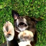Profile Picture of Brian Spahr (@spahr.brian) on Instagram