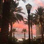 Profile Picture of Sam Seligman (@ket0dummy) on Instagram