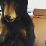 Profile Picture of Chase Booth (@booth.chase) on Instagram