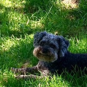 Profile Picture of Gary Lanter (@garylanter) on Pinterest