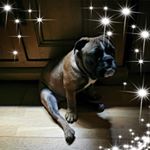 Profile Picture of David De Decker (@david_dedecker) on Instagram