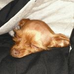 Profile Picture of Ethan mccune (@mccune.ethan) on Instagram