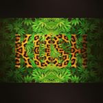 Profile Picture of Wade Hunter (@wade_hunter_1978) on Instagram