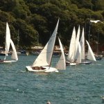 Dawn Toland - Instagram Profile Picture of Dawn Toland (@dawntoland) on Instagram