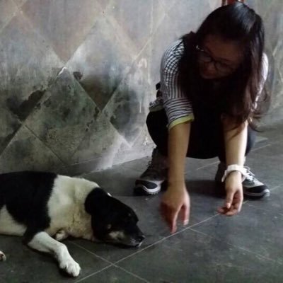 Profile Picture of Sharon Chow (@zymmh) on Twitter