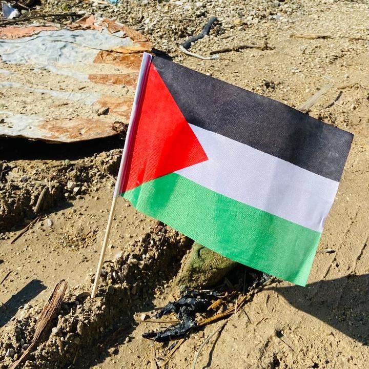 Profile Picture of HaMaDa 🇵🇸 (@hamada.palestine) on Tiktok