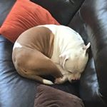 Profile Picture of Theodore Walter (@theodorewalterr) on Instagram