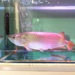 Hoi Poon - Instagram Profile Picture of Hoi Poon (@hoi.poon) on Instagram